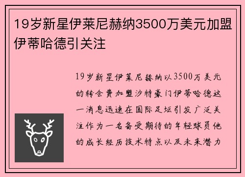 19岁新星伊莱尼赫纳3500万美元加盟伊蒂哈德引关注